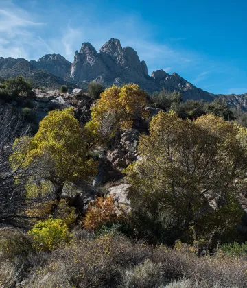 Photo of NMDP Monument